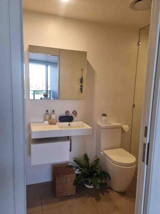 גולד קוסט Modern 1 Brm Apartment With Pool Close To Beach מראה חיצוני תמונה